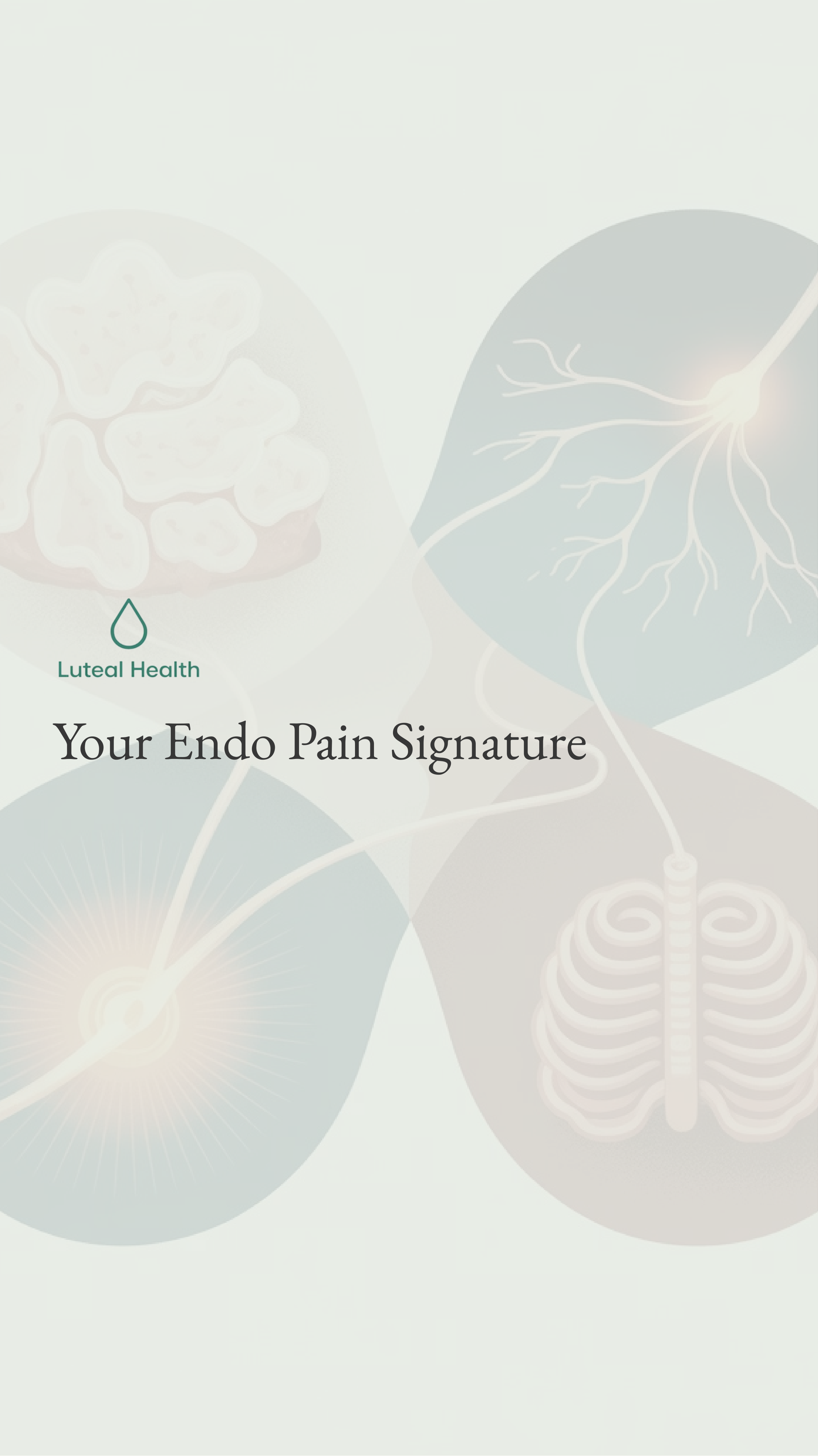 Cover of the Endo Pain Signature report — personalized PDF delivered within 24 hours