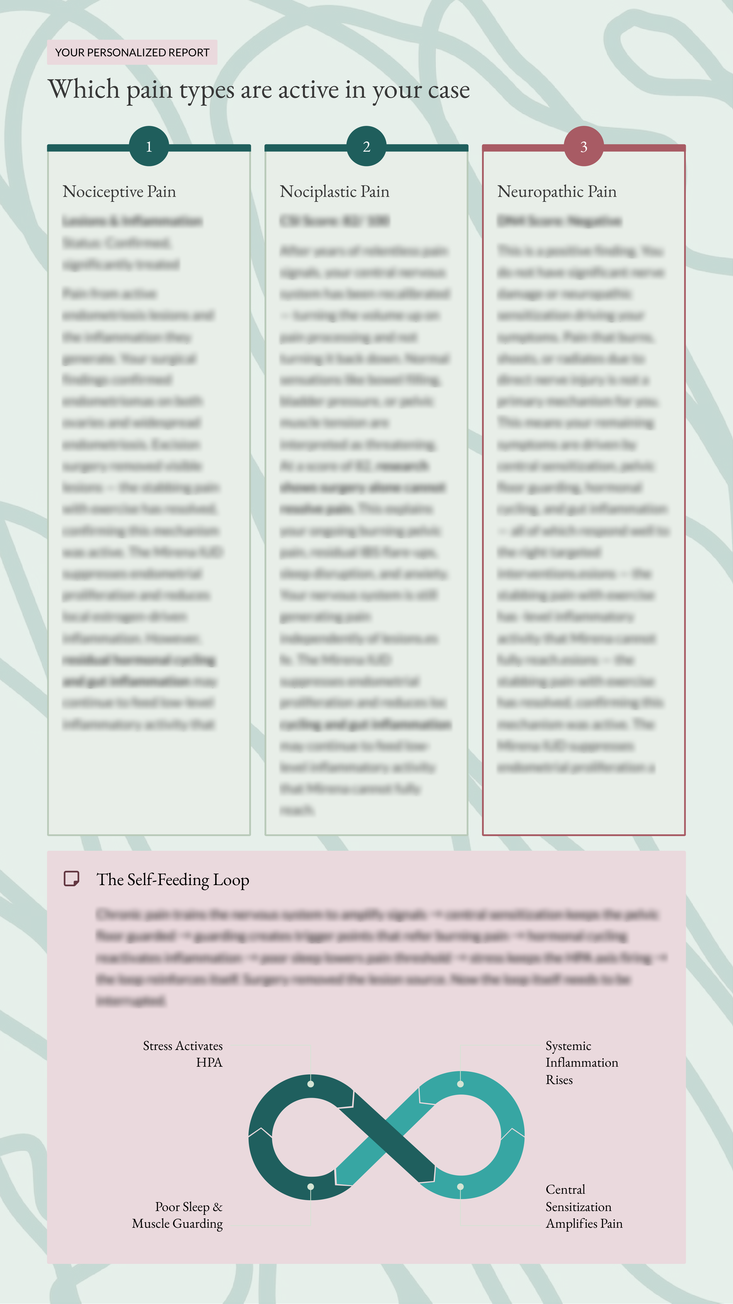 Endo Pain Signature report page 2 — three pain mechanism cards (nociceptive, nociplastic, neuropathic) and the self-feeding loop diagram